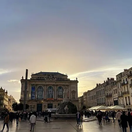 Grand Studio De Charme Au Coeur De Et Wifi * Montpellier